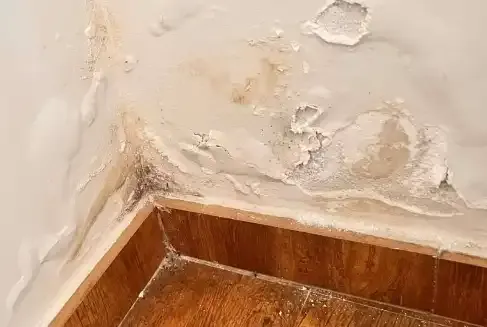 Solución para Humedades por Infiltración